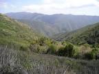 Cleveland National Forest - About the Forest