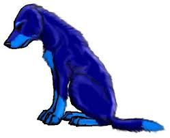 Image result for blue dog