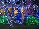 Outdoor Christmas Lights Ideas Gallery | Building Home And Bar