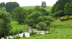 Wiltz
