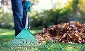 Fall Home Improvement