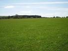 Grassland, Nethermuir - via Daymix