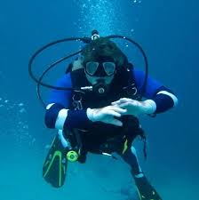 Peter Hohaus Diving Blue Hole, Belize – Bild von San Pedro ... - amigos-del-mar-dive-shop