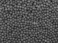 File:Canola.jpg - Wikipedia, the free encyclopedia
