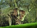 How to Build a Tree House
