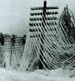 Deadly Blizzards and Ice Storms: Americans Lose Power While ...
