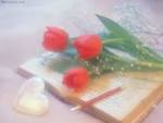 http://t2.gstatic.com/images?q=tbn:ANd9GcSb9utamJZR4pnKwY2q5jRx40jivKIAo_pPjTvP1WKEIk2a0YyDmA-Gq3g