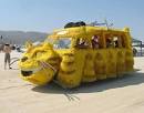 car animal