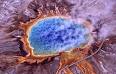Carotenoid - Wikipedia, the free encyclopedia