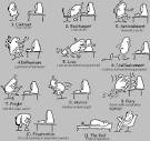 Huge Collection of Programming Cartoons | Free Download,Free ...