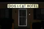 Dog and Cat Hotel pet care in Towson - via Daymix