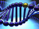 Council For Responsible Genetics Blog | Genetic testing of kids ...