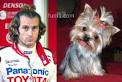 Image Jarno Trulli looking like a Picture