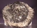 Amethyst Galleries - AMPHIBOLE GROUP