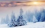 sunset-snow-landscape.jpg