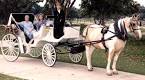 California Carriages - horse drawn carriages for weddings, parties ...