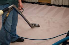  Preferring the Leading Carpet Cleaners