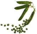 HowStuffWorks "Growing Green Peas"