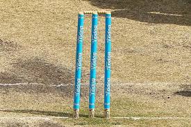 Image result for wicket