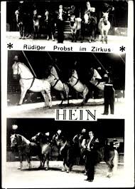 Foto Ak Zirkus Hein, Rüdiger Probst, Dressur, Pferde | akpool.