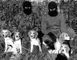 Animal Liberation Front - Wikipedia, the free encyclopedia