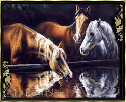 Obrazek