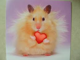 valentines hamster