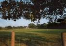 on the fencepost on the left 'I love you' - so romance isn't dead!) - via Daymix