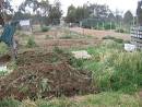 Farming &amp; Agriculture: Introduction to Green Manure
