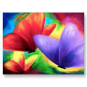 colorful paintings
