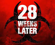 http://t2.gstatic.com/images?q=tbn:ANd9GcSdlI7dzlYkRfqJhJi_Ryr1A14ArlXnBRqXvNtdsnDU-5lvgl8nRwdjPO6iGA