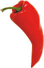 Chili pepper - Charles Ayoub