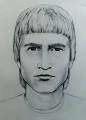 UNSOLVED: The Morgan Violi