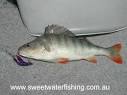 Redfin