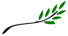 File:Olive branch.svg - Wikipedia, the free encyclopedia