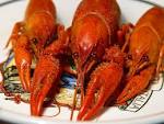 Free Pictures of Crawfish