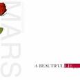 30 Seconds To Mars Beautiful Lie Album Cover, 30 Seconds To Mars ...