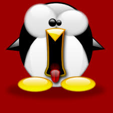 Vulnerabilidades en el Kernel de Linux Ubuntu