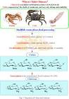 preparation of chitin and chitosan / Dalwoo-