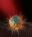 Brain Chemistry (Neurochemistry) - body, causes, Out of Balance
