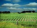 women lead a farming revolution in Iowa | The Golden Spiral