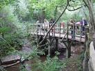 where Winnie-the-Pooh - via Daymix