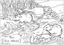 Track and Field coloring page