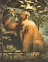SLOTH