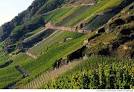 The Sommelier Update: German Wines - Part One