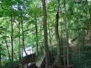 Fort Harrison State Park Photos and Pictures | Indianapolis Photos
