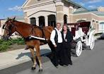 Horse Drawn Carriage Rides downtown Cincinnati Ohio (OH). Horse ...