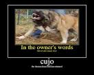 CUJO Picture