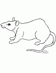 Rat coloring page