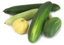 Cook's Thesaurus: Cucumbers